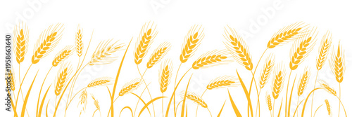 Wheat Ear Gold Engraved Border Background, Agricultural Silhouette Press Design with Golden Flour Production Concept, Cereals Ripe Spike Horizontal Frame Pattern for Organic Bread and Beer Vector