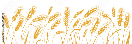 Golden Wheat Ear Engraved Border Background, Agricultural Silhouette Press Illustration, Ripe Cereals Spike Horizontal Frame Pattern, Organic Flour Production, Bread and Beer Vector Design Template
