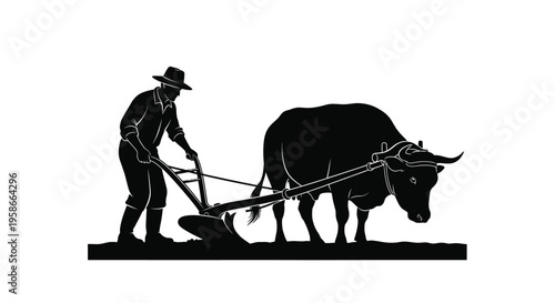 Farmer plowing a field with an ox a striking black silhouette