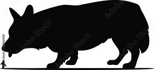 Pembroke Welsh Corgi silhouette vector illustration black and white