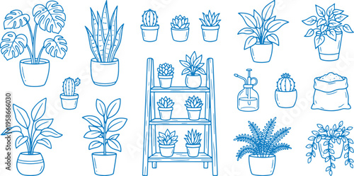 Various potted plants and planters on shelves and around with different types of foliage and pots for decoration and gardening concepts