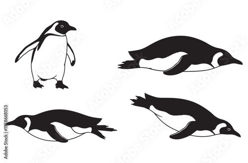 Penguin silhouette set depicting standing and swimming poses with aquatic flight movements for antarctic wildlife themes and zoo educational materials for cold climate animal studies