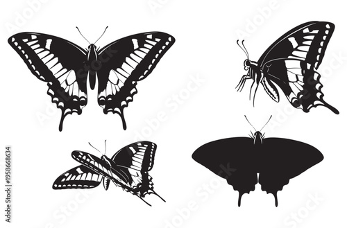 Butterfly vector silhouettes set isolated on transparent background, detailed butterflies with patterned wings, top view and side view, perfect for use in designs