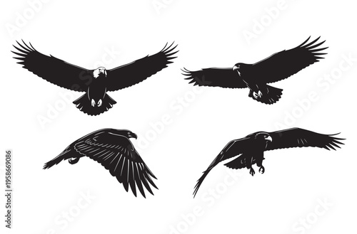 Eagle vector silhouettes set featuring majestic birds of prey in different flight positions including diving soaring and spreading wings for powerful wildlife and nature graphics
