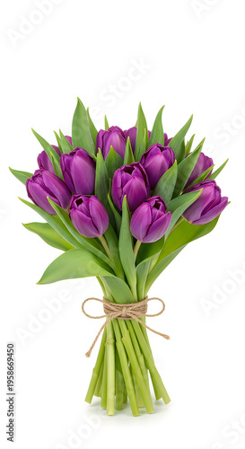 A Beautiful Bunch of Purple Tulips Tied with Twine on a White Background