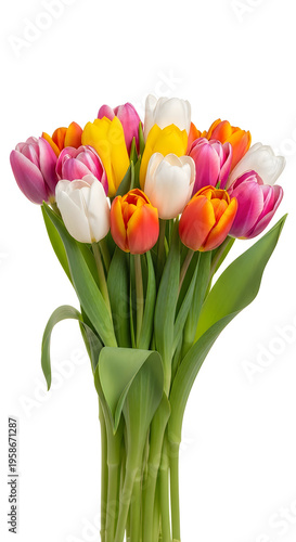 A Bunch Of Colorful Tulips With Green Leaves