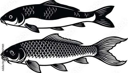 Fish illustration set, detailed freshwater species drawing, aquatic animal vector art, black and white marine design, realistic fish anatomy isolated on background
