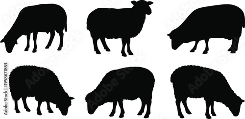 Sheep silhouette, grazing sheep icon, black sheep vector, farm animal graphic, wool texture design, livestock shape, standing sheep pose, nature art