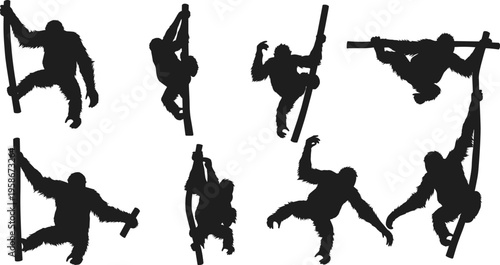 Silhouette of apes climbing, hanging, swinging on poles, wildlife animal movement, monkey posture, jungle behavior, primate agility, nature illustration, vector