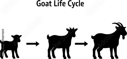 Goat Life Cycle Silhouette Kid to Adult Goat Growth Stages Vector Illustration