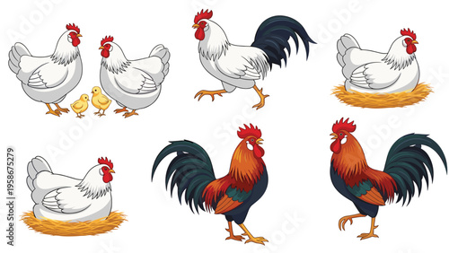 Various poultry illustrations showing roosters, hens, and tiny yellow chicks in natural farm life poses on a white background.