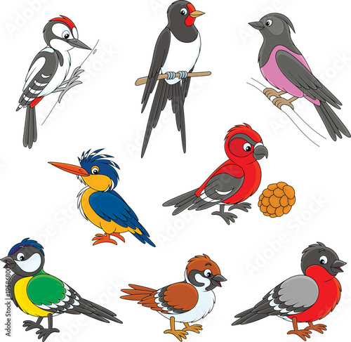 Vector cartoon set of martin, starling, crossbill, woodpecker, kingfisher, sparrow and titmouse