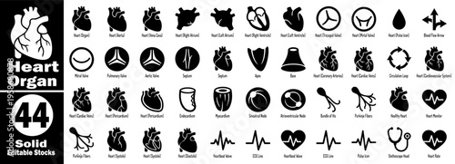 Heart organ solid icons set. Heart outline illustration icons. heart symbol for web and mobile. Solid editable stock vector illustration.