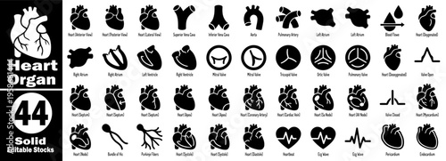 Heart organ solid icon set. Heart outline illustration icons. heart symbol for web and mobile. Solid editable stock vectors.