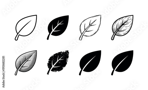 Simple leaf icons in black and white