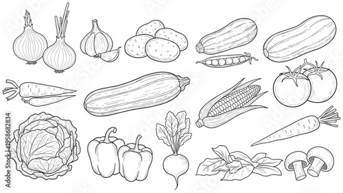 Set of detailed black and white sketches of various fresh vegetables like onions, potatoes, corn, carrots, and cabbage for culinary art.
