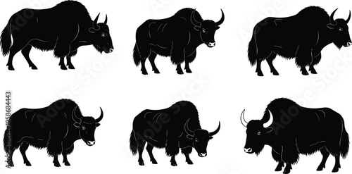 Yak silhouette illustration, wild animal vector, Himalayan cattle design, shaggy fur outline, mountain livestock art, strong horned mammal, Tibetan nature graphic, grazing pose