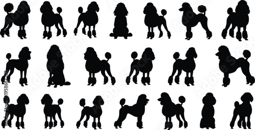 Black Poodle Dog Silhouette Vector Collection with Purebred Pedigree Pets in Various Grooming Show Cuts for Canine Breeding Pet Care and Veterinary Graphic Design