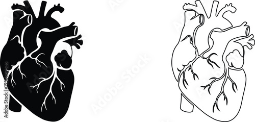 Anatomical human heart vector icons, realistic medical heart silhouette and line art set, cardiovascular organ illustrations for healthcare design