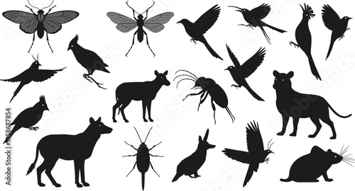 Wild animal silhouettes, flying birds, insects and rodents, black vector shapes, isolated wildlife illustrations, nature animals design, stock graphics