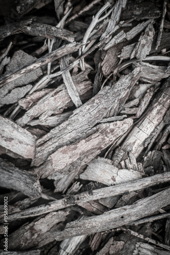 Close‑up overhead view of natural wood mulch and bark chips, showcasing rough organic texture, layered fragments, and earthy tones, forming an abstract background of raw natural material.