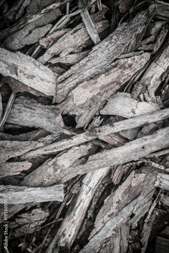 Close‑up overhead view of natural wood mulch and bark chips, showcasing rough organic texture, layered fragments, and earthy tones, forming an abstract background of raw natural material.