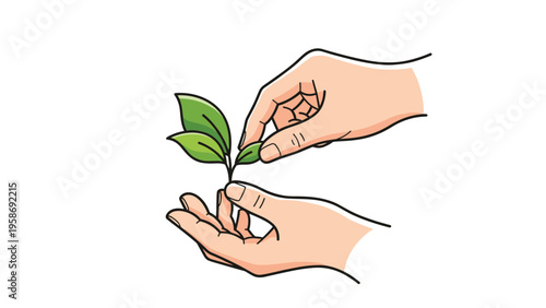 Human hands carefully holding and nurturing a young green plant sprout symbolizing growth ecology and sustainability.