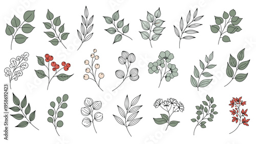 Large assortment of botanical leaves branches and berries illustrated in a delicate line art style with muted colors.