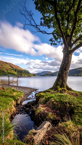 Tranquil lake scene with a lone tree overlooking the water on a bright, cloudy day