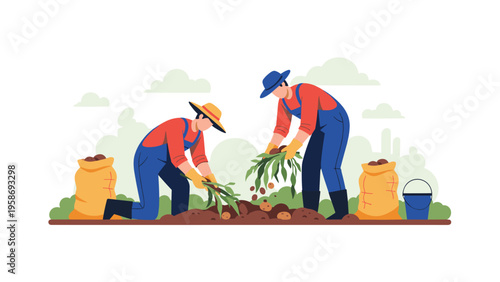 Two hardworking farmers in blue overalls harvesting fresh potatoes and filling large yellow sacks in a rural farm field.