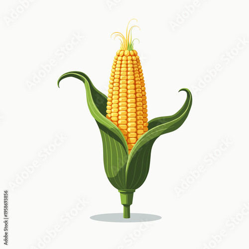 Corn cob with green leaves on light background  