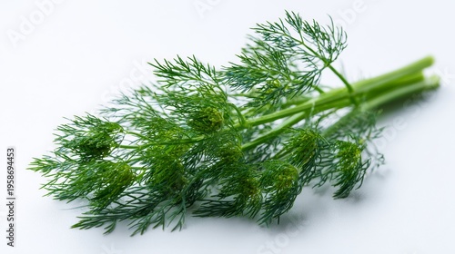 Fresh dill herb used in cooking displayed on a plain surface with bright green color and fine leaves on a kitchen counter