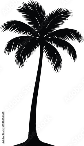 Palm Tree Silhouette Vector – Tropical Tree Black Shape Isolated