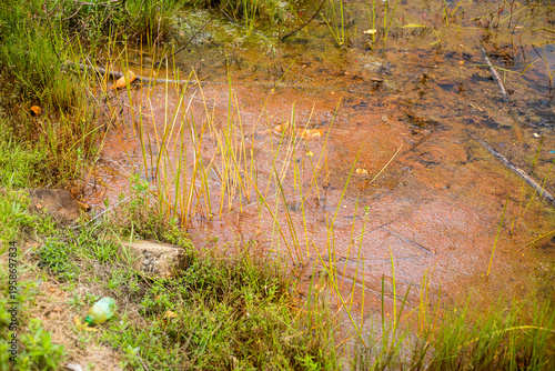 Close‑up of plastic debris scattered among wet grass and soil, highlighting environmental pollution, human impact on nature, and the contrast between natural textures and artificial waste.