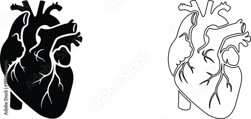 Anatomical human heart vector icons, black silhouette and line art medical illustrations, realistic organ diagrams for cardiology and healthcare