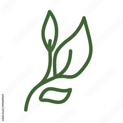 Green tea leaves sprout branch outline minimalist line art graphic