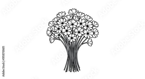 A detailed black and white illustration of a clustered bouquet of cosmos flowers