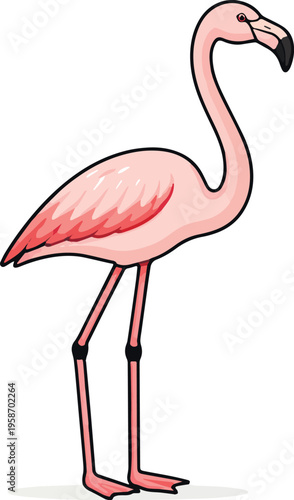 flamingo.eps