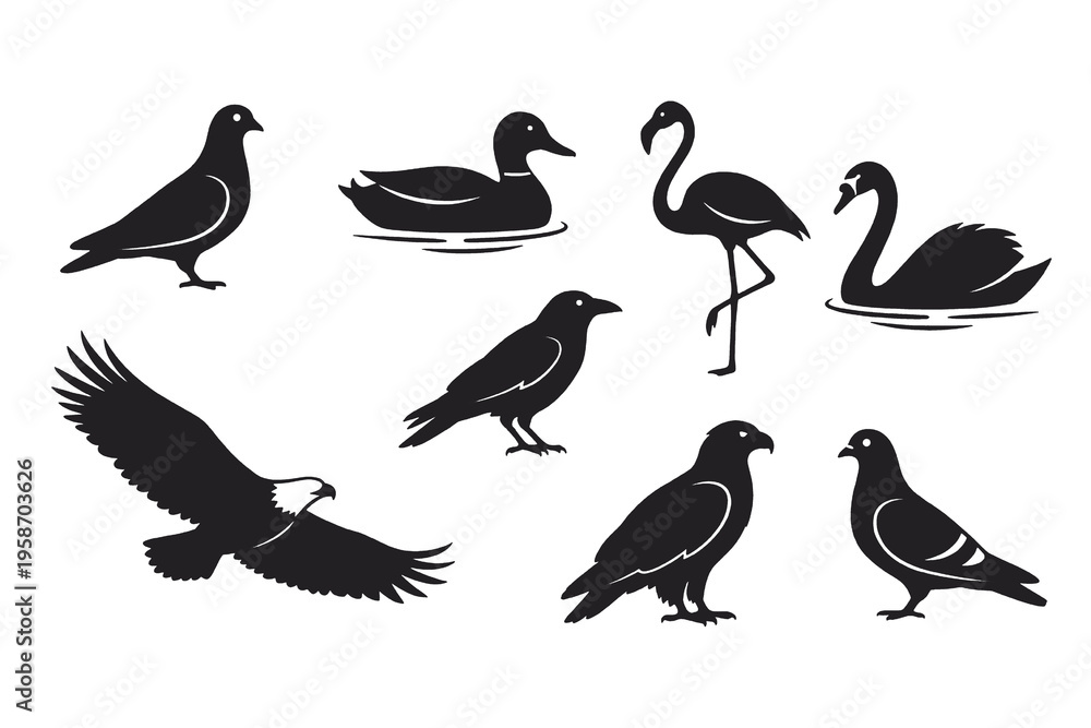 Obraz premium Collection of bird silhouettes including eagle duck flamingo and swan isolated on transparent background