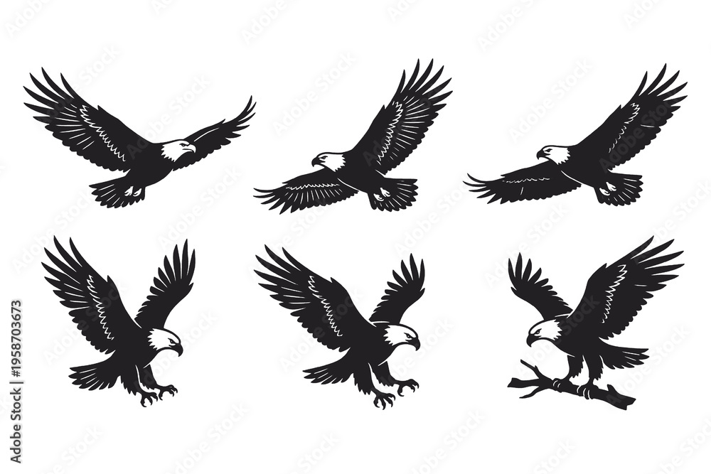 Obraz premium Bald eagle silhouettes set flying and perching on branch on transparent background