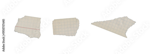 Set of three ripped squared paper cutouts on transparent background