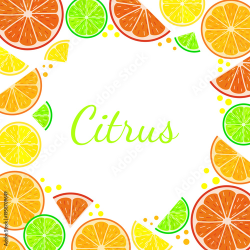 Citrus fruit frame with slices of orange, lemon, lime and grapefruit on white background. Vector illustration