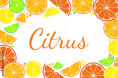 Horizontal citrus fruit border with orange, lemon, lime and grapefruit slices on white background. Vector illustration