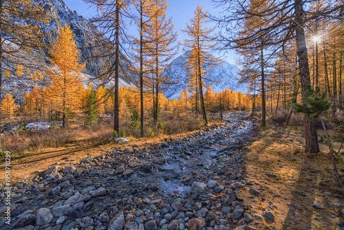Landscape of the Altai Mountains in Siberia, Altai Republic, Russia