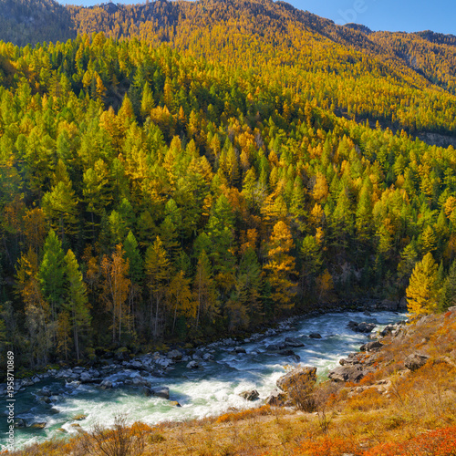 Landscape of the Altai Mountains in Siberia, Altai Republic, Russia