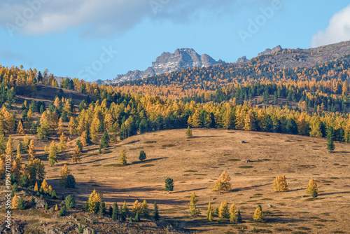 Konstfotografi Landscape of Altai Mountains in Siberia, Altai Republic, Russia