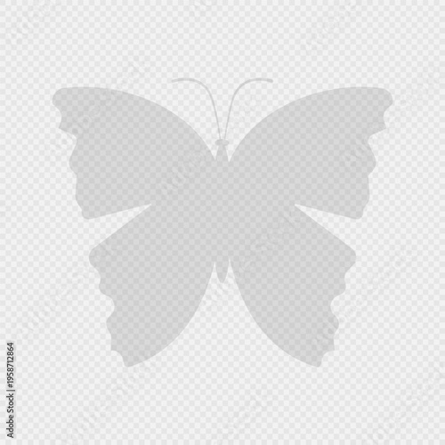 Butterfly silhouette. Gray shadows of butterfly.  Vector illustration isolated on transparent background.