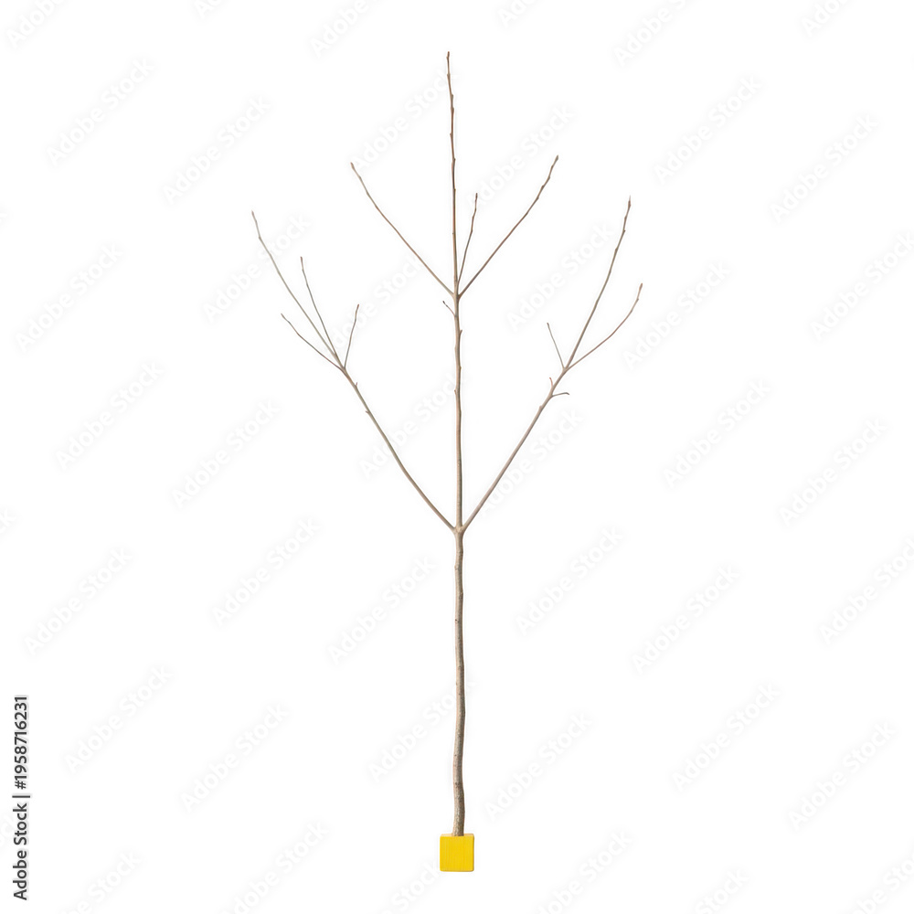 Fototapeta premium Minimalist illustration of a leafless tree with a yellow base and thin branches