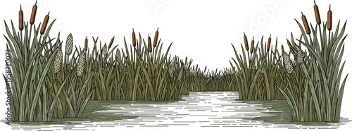 Vintage Hand Sketched Wetland Marsh Landscape Vector Panorama Featuring Cattails Reeds and Calm Water Stream with Etched Texture for Environmental Education and Nature Graphic Designs