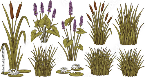 Vintage Hand Sketched Freshwater Fish Vector Set Featuring Trout and Perch with Etched Texture for Fishing Branding and Nature Education Graphic Designs